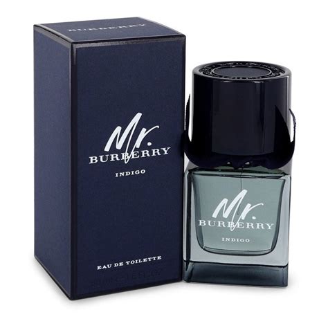 mr burberry indigo dupe|mr burberry indigo 50ml.